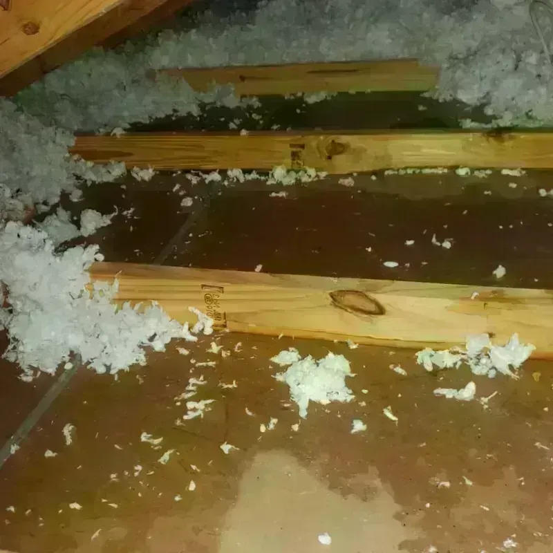 Attic Water Damage in Scotia, NY